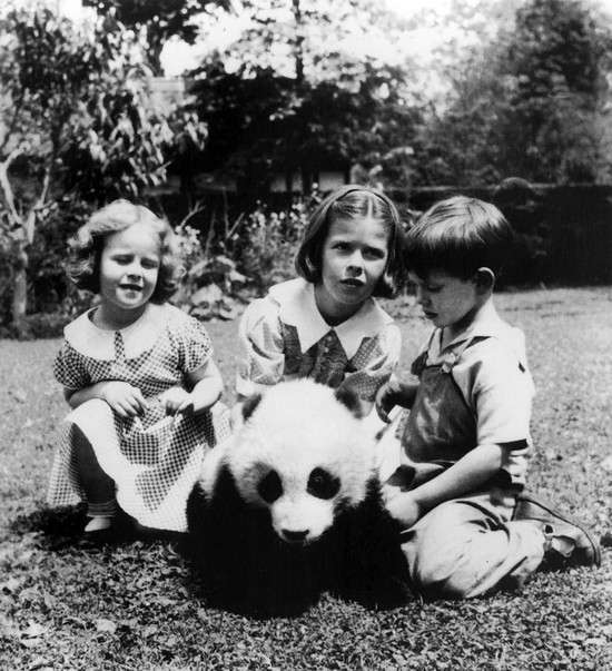 The panda named Pandora was popular among kids in West China Dam.