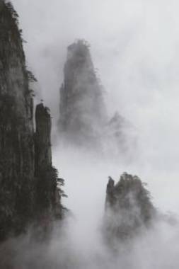 视觉艺术：瞬间