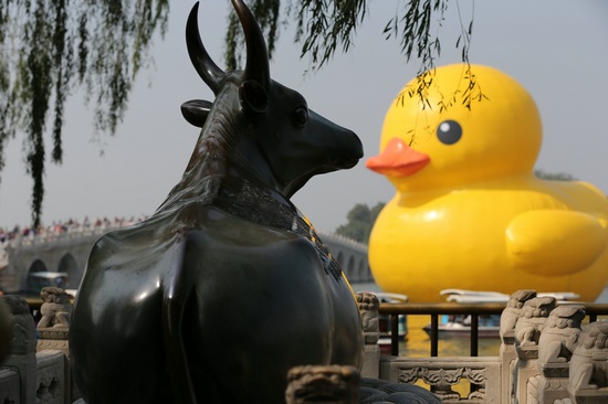 在颐和园展览的“大黄鸭”