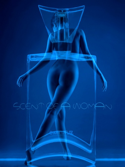 商业类金奖《女人香》 陈松