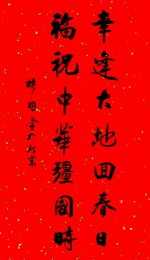 杨开金书法作品