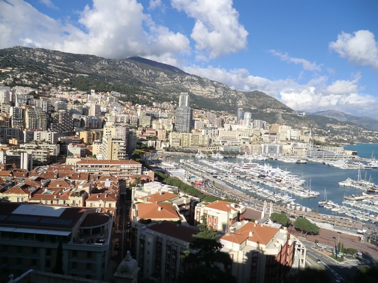 Overview of Monaco