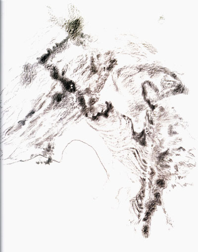 ��һλ�����г������ҵľ���̽��