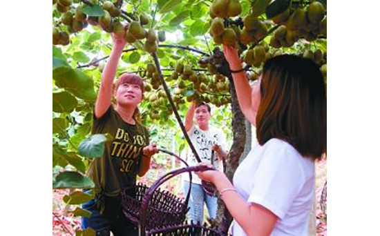 光明日报:更满意的收入 更红火的生活