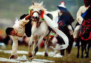 西藏当吉仁赛马节上表演拾哈达.jpg
