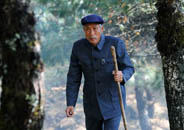 电视剧《杨善洲》