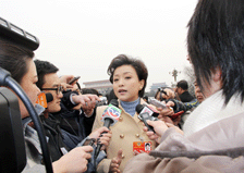 杨澜委员接受媒体采访