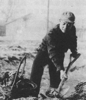 利用节假日参加义务劳动