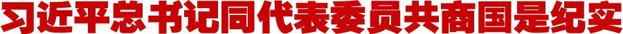 习近平总书记同代表委员共商国是纪实