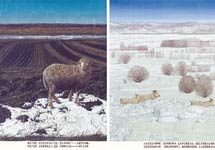 刻在北大荒的土地上（插图）