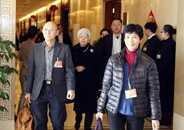 出席两会的港澳代表委员抵京