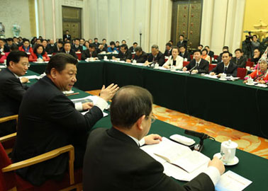 习近平等分别参加审议讨论