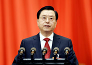 张德江作全国人民代表大会常务委员会工作报告