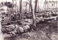 1940年秋季反扫荡时，晋察冀军区四分区八路军在树林里露营 朱汉摄