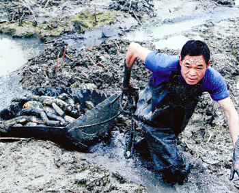 【即将消失的职业 二十三】挖藕人