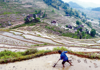 【即将消失的职业 二十八】梯田守护者