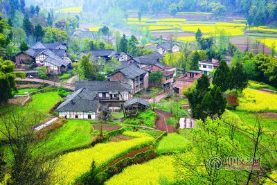 中国文艺网-泸州市确定传统村落立档调查示范