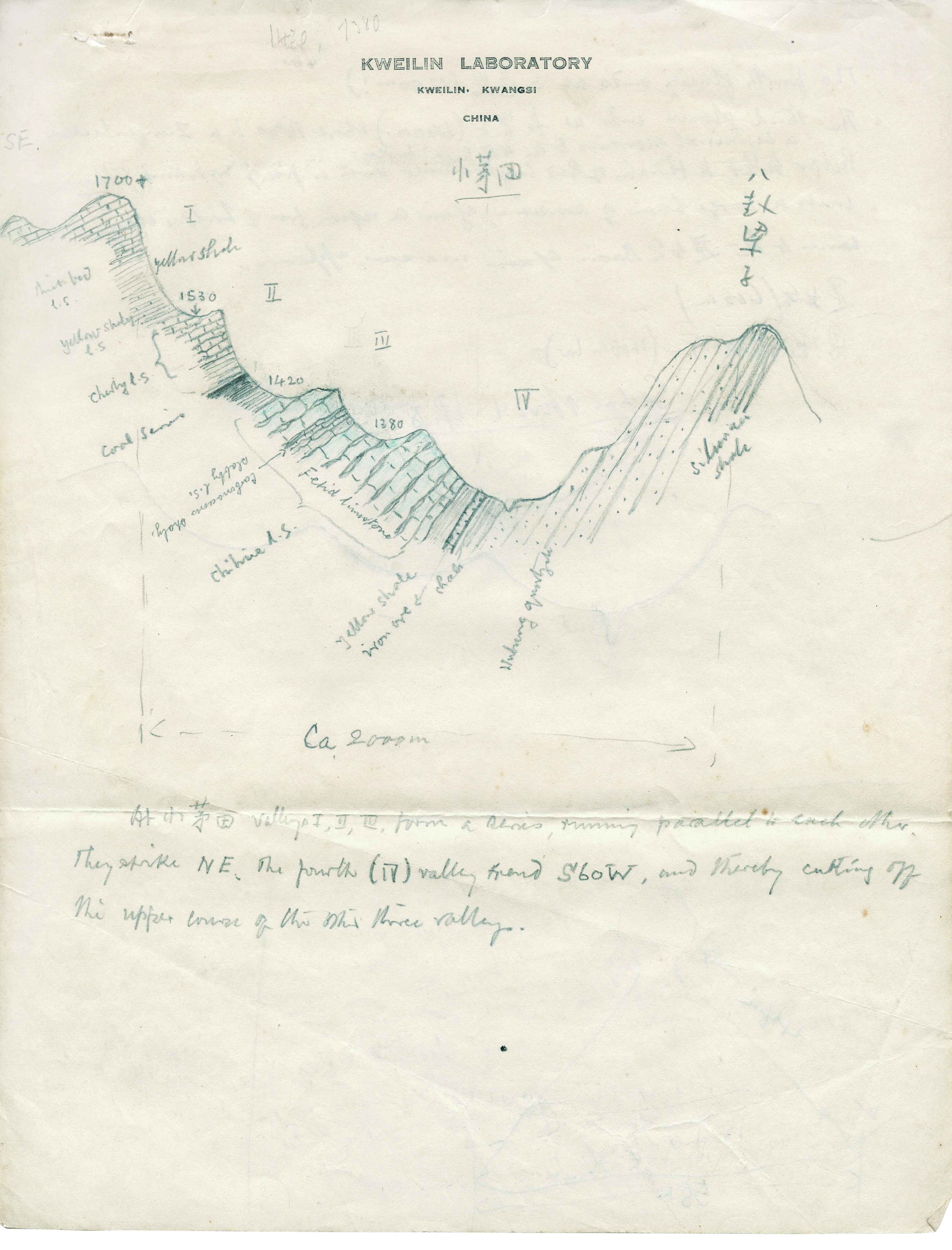 李四光素描画2