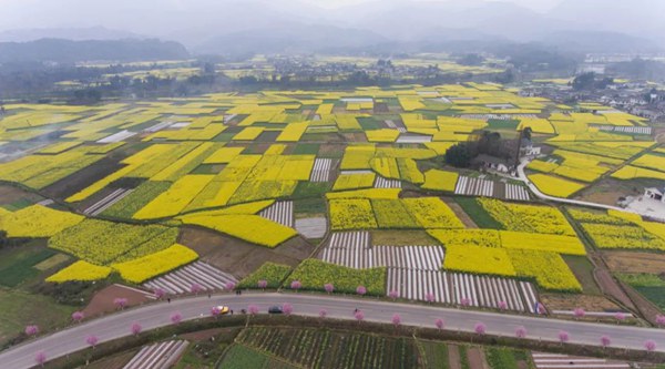 俯瞰四川省洪雅县花溪镇花溪河两岸的田园.